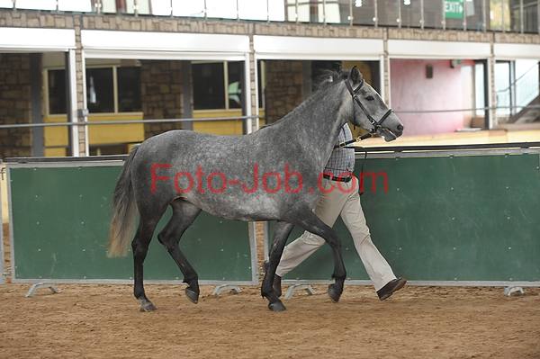 Preview 14_CF3_2123.jpg